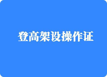 操逼视频链接登高架设操作证